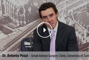 Interview with Dr. Antonio Pozzi
