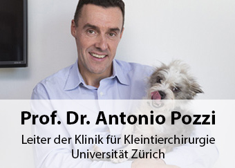 Prof. Dr. Antonio Pozzi - Leiter der Klinik für Kleintierchirurgie, Universität Zürch