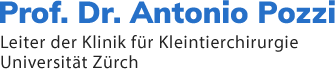 Prof. Dr. Antonio Pozzi - Leiter der Klinik für Kleintierchirurgie, Universität Zürch