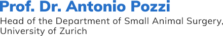 Prof. Dr. Antonio Pozzi - Head of the Department of Small Animal Surgery, University of Zurich